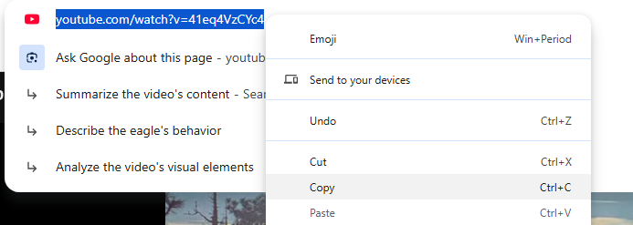 Copy YouTube URL